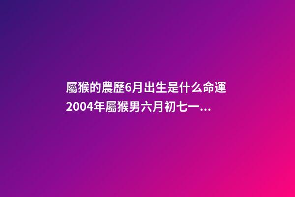 屬猴的農歷6月出生是什么命運 2004年屬猴男六月初七一生命運怎么樣-第1張-觀點-玄機派